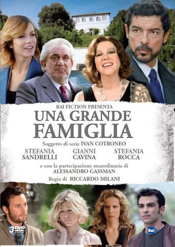 The Family poster