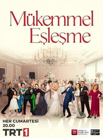 Perfect Match poster