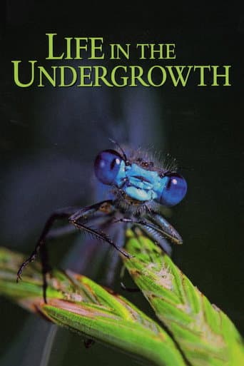 Life in the Undergrowth poster