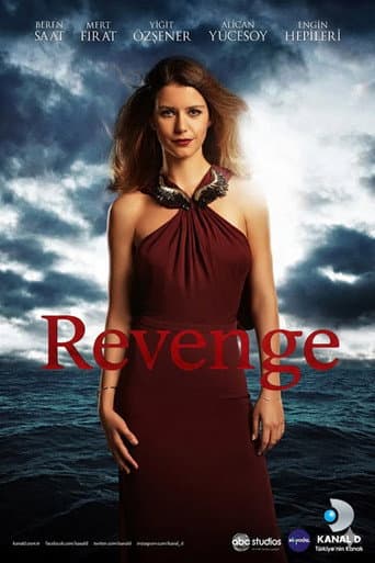 Revenge poster