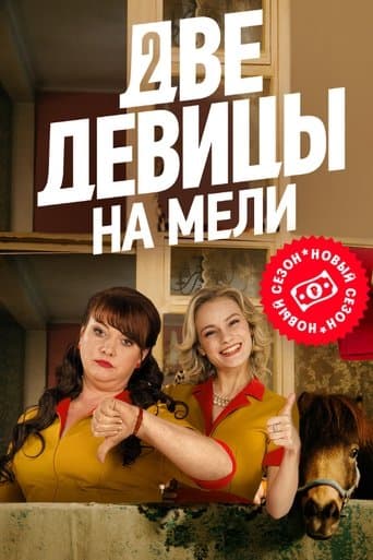 2 Broke Girls poster