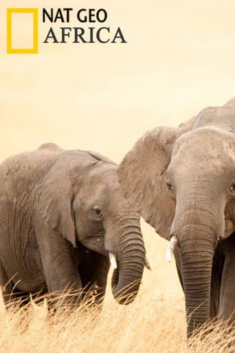 Africa poster