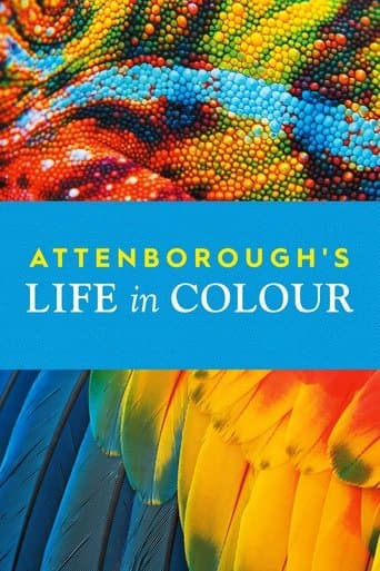 Life in Colour poster