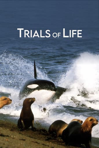 The Trials of Life poster
