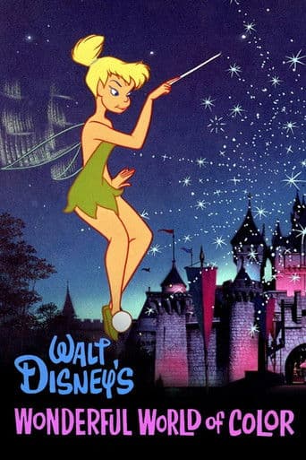 The Magical World of Disney poster