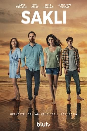 The Affair poster